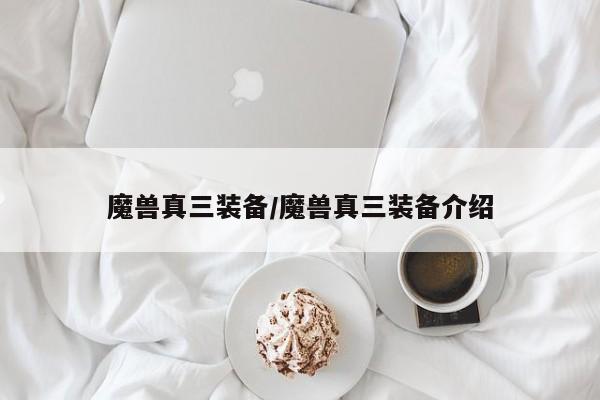 魔兽真三装备/魔兽真三装备介绍