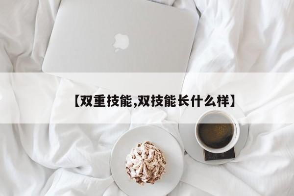 【双重技能,双技能长什么样】