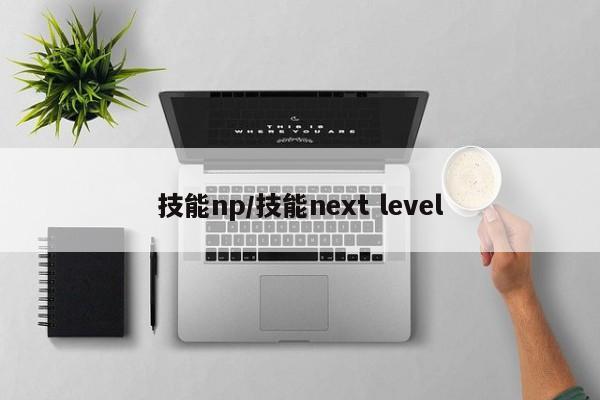技能np/技能next level
