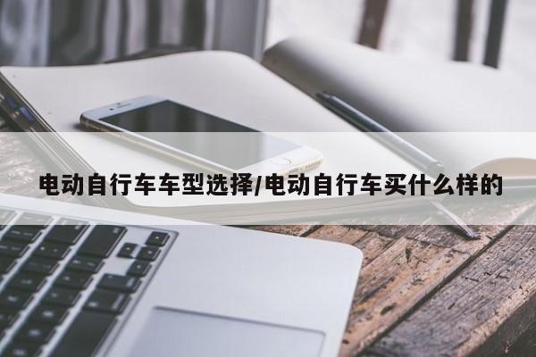 电动自行车车型选择/电动自行车买什么样的