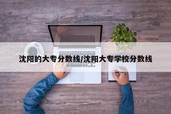 沈阳的大专分数线/沈阳大专学校分数线