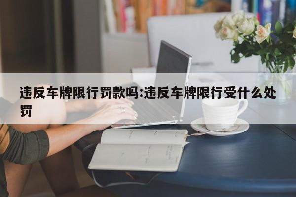 违反车牌限行罚款吗:违反车牌限行受什么处罚