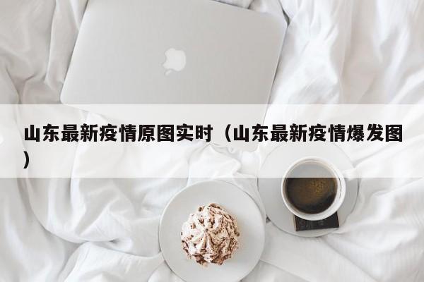 山东最新疫情原图实时（山东最新疫情爆发图）