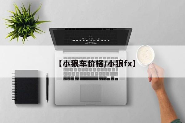 【小狼车价格/小狼fx】