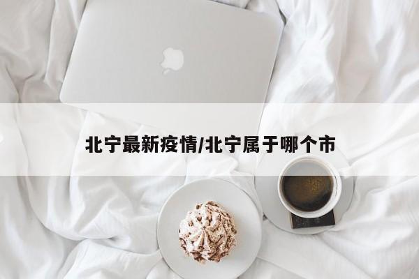北宁最新疫情/北宁属于哪个市