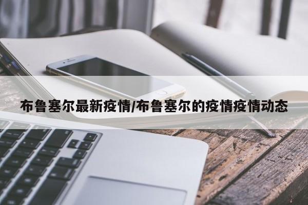 布鲁塞尔最新疫情/布鲁塞尔的疫情疫情动态